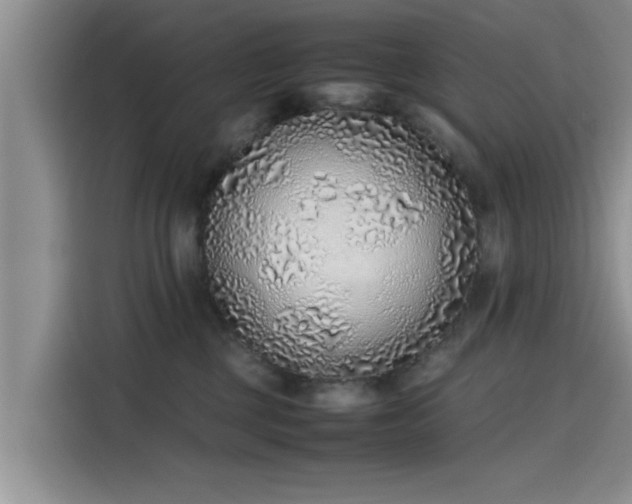 X0000115600377200911171133