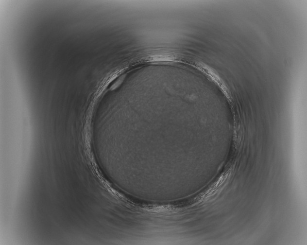 X0000115600385200911171132