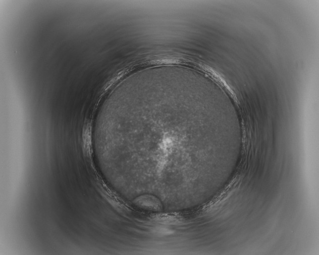 X0000115600386200911171132