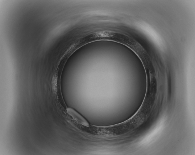 X0000115600387200911171132