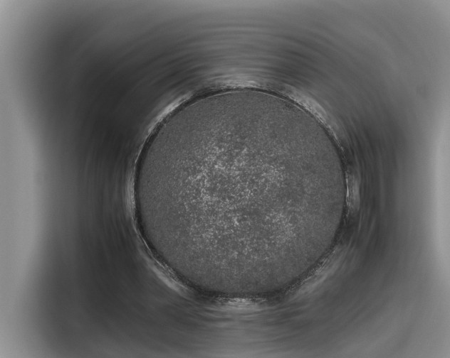 X0000115600390200911171132