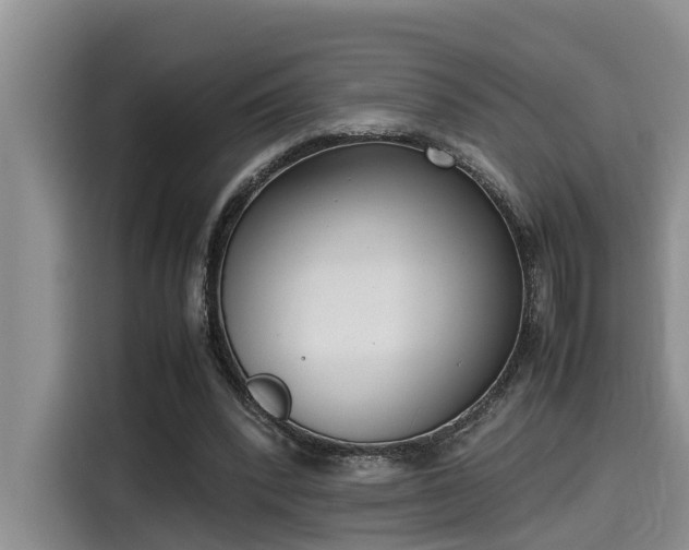 X0000115600392200911171132