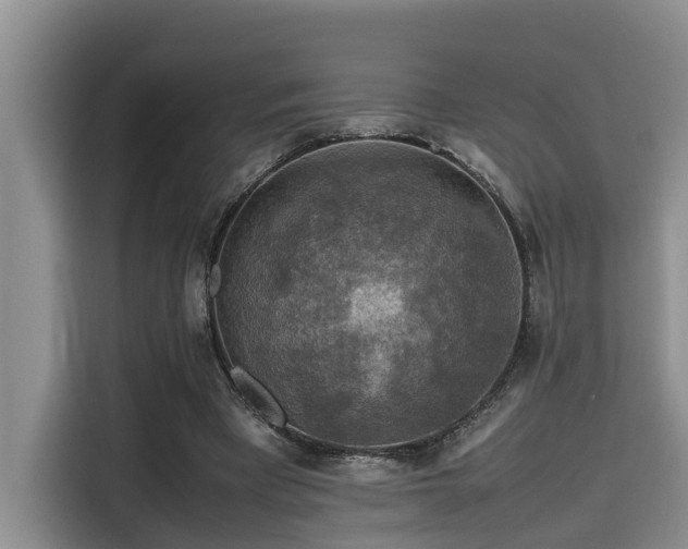 X0000115600393200911171132