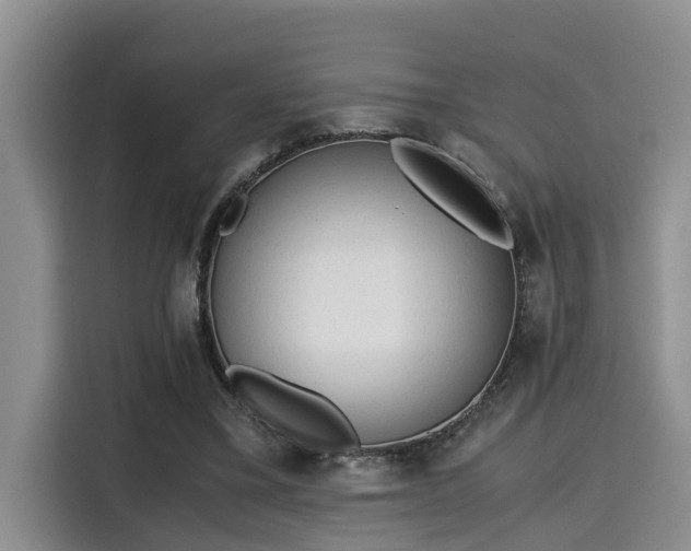 X0000115600395200911171132