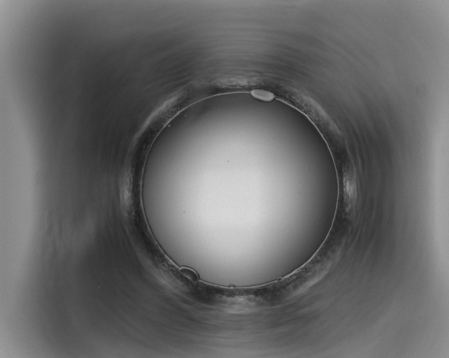 X0000115600396200911171132