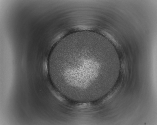 X0000115600398200911171132