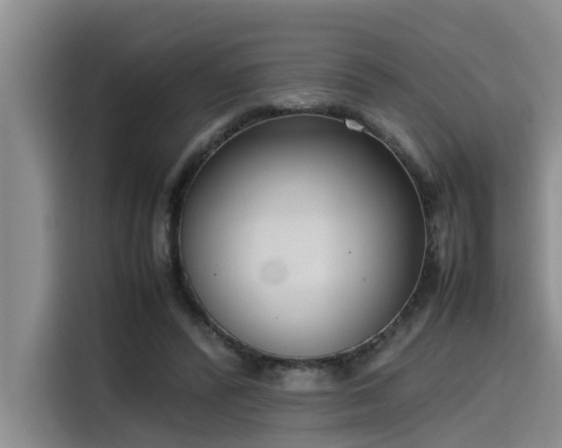 X0000115600400200911171132