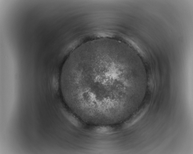 X0000115600402200911171132