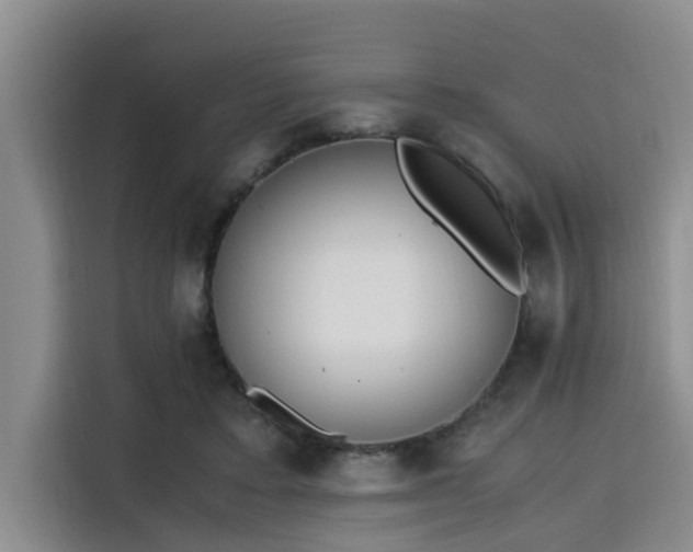 X0000115600403200911171132