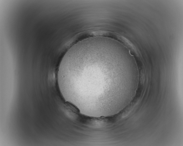 X0000115600405200911171132