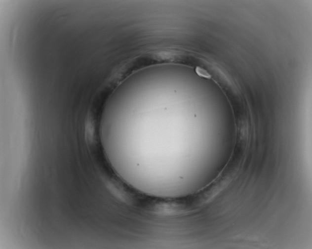 X0000115600408200911171132