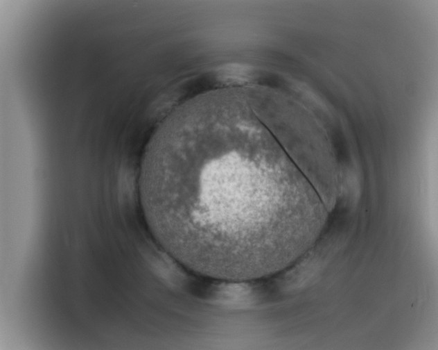 X0000115600409200911171132