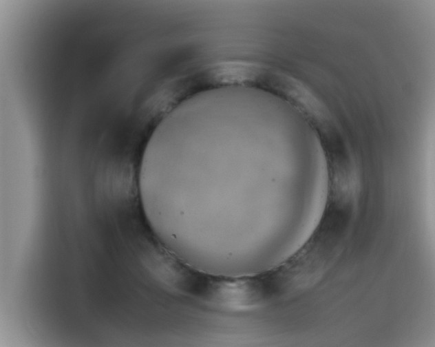 X0000115600411200911171132