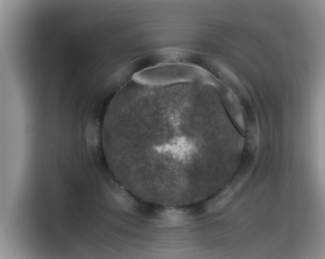 X0000115600413200911171132