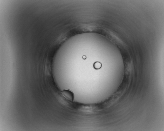 X0000115600414200911171132