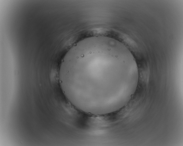 X0000115600419200911171132