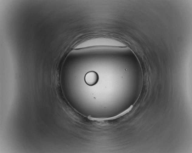 X0000115600421200911171132