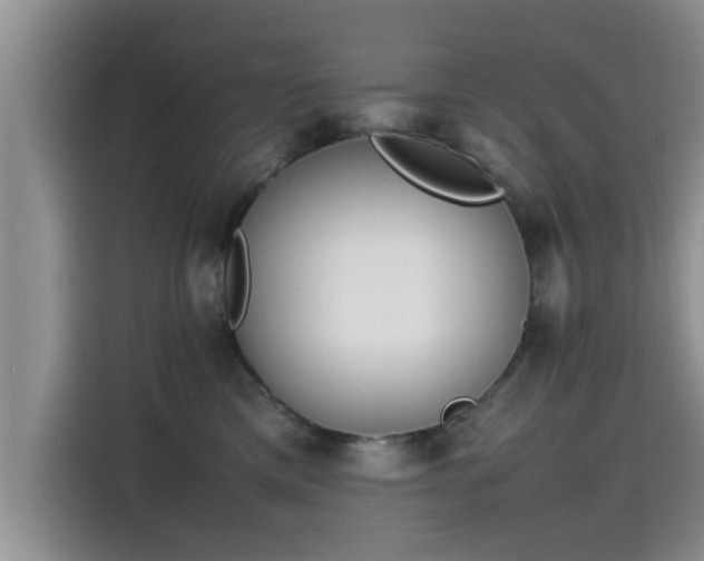 X0000115600425200911171132