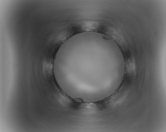 X0000115600427200911171132