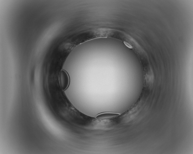 X0000115600429200911171132