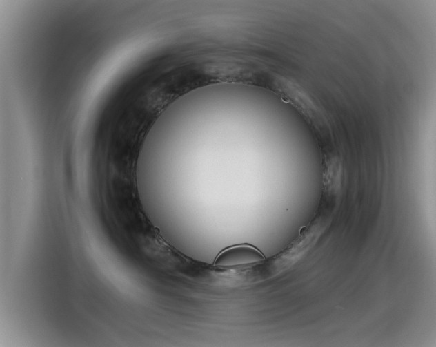 X0000115600430200911171132