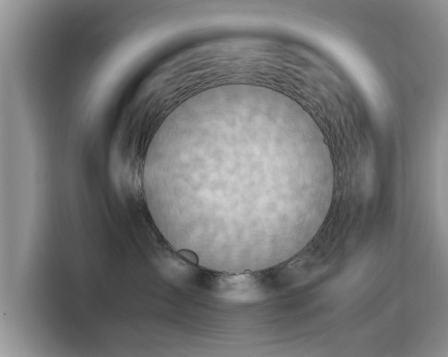 X0000115600431200911171132