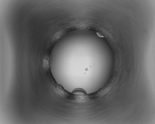 X0000115600432200911171132