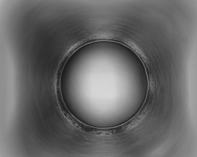 X0000115600434200911171131