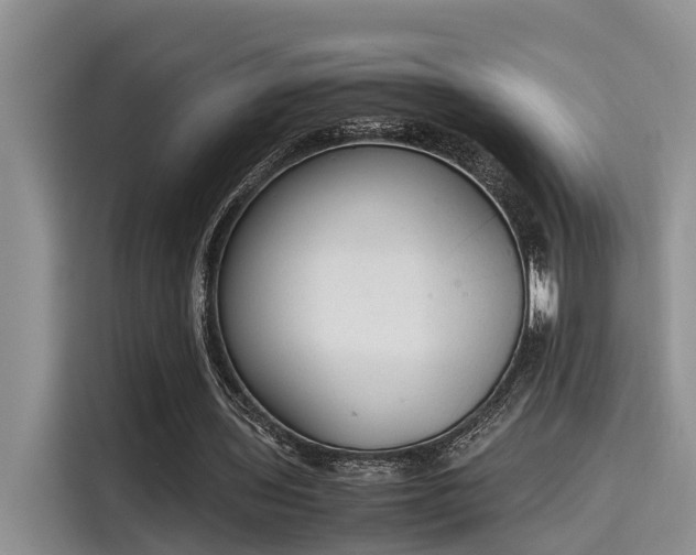 X0000115600435200911171131