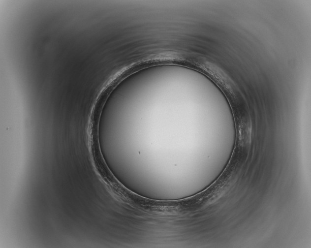 X0000115600436200911171131