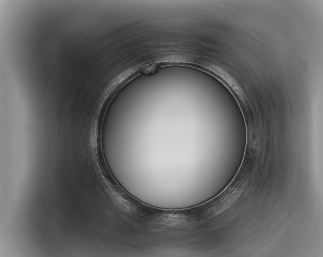 X0000115600437200911171131