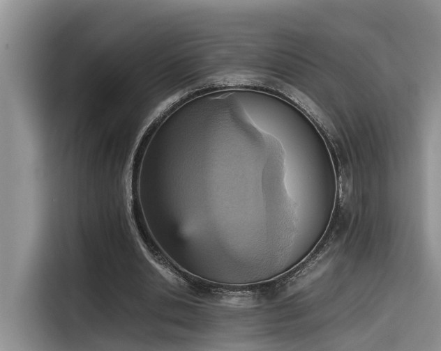 X0000115600438200911171131