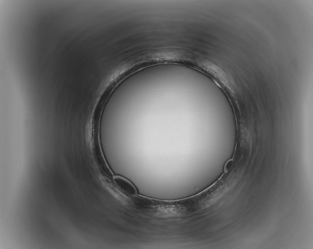 X0000115600439200911171131