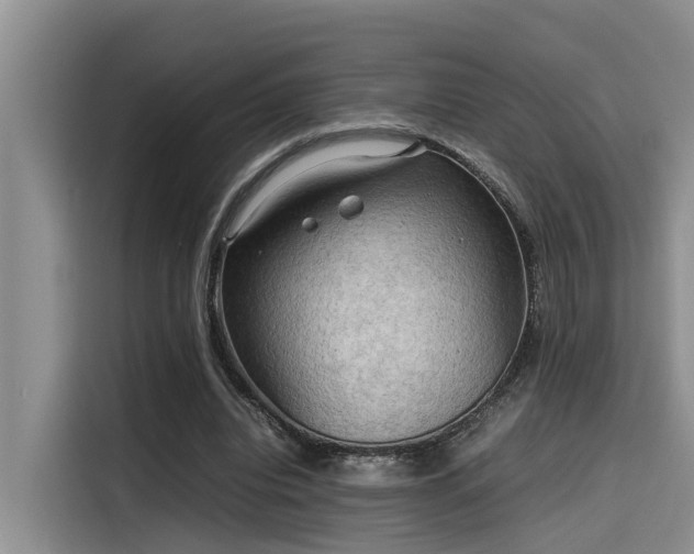 X0000115600440200911171131