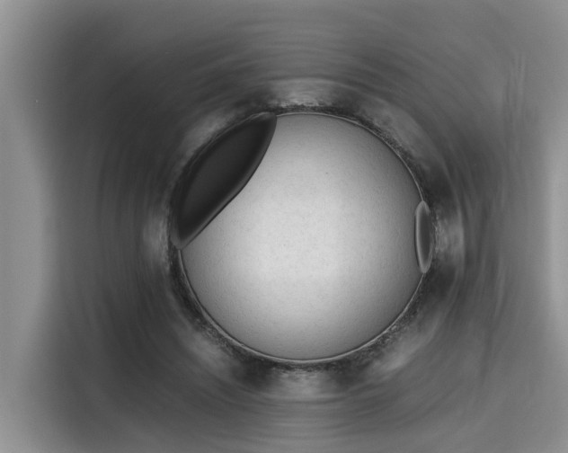 X0000115600444200911171131