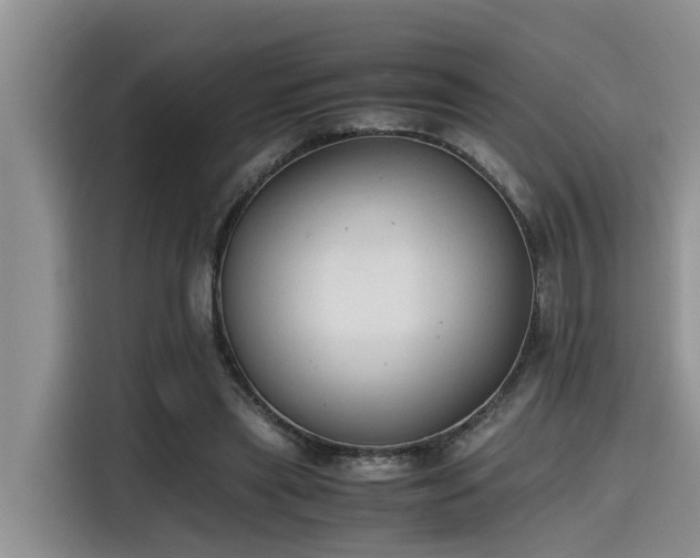 X0000115600445200911171131