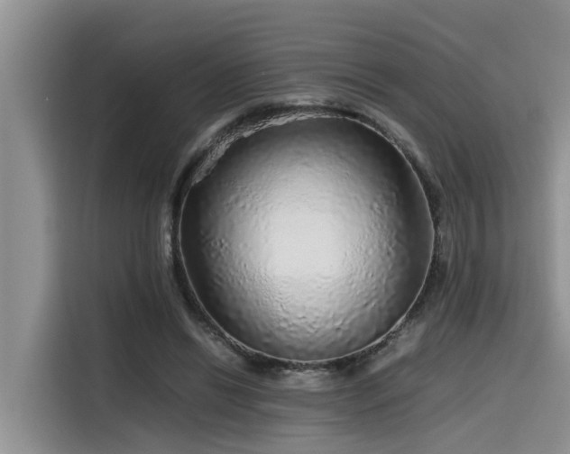 X0000115600446200911171131