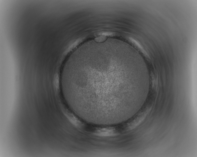 X0000115600447200911171131