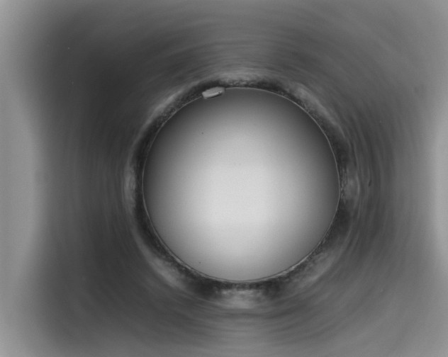 X0000115600448200911171131