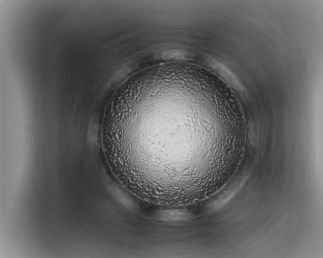 X0000115600449200911171131