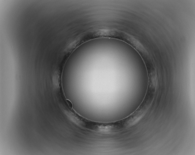 X0000115600450200911171131