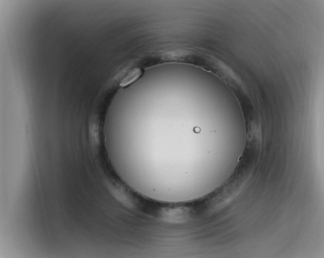 X0000115600452200911171131