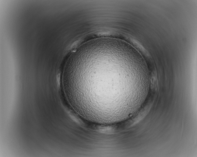 X0000115600454200911171131