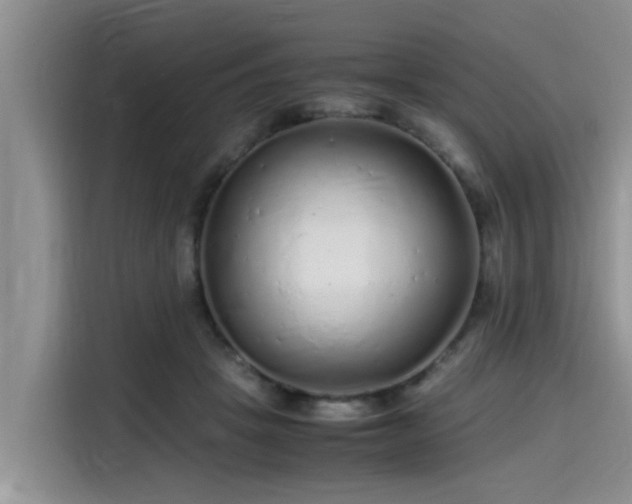 X0000115600457200911171131