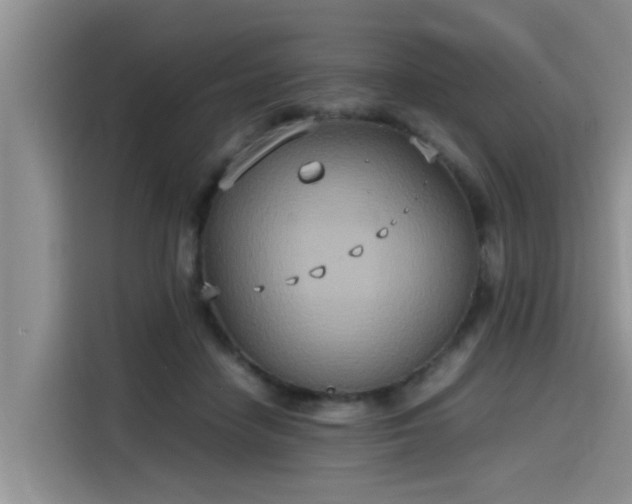 X0000115600458200911171131