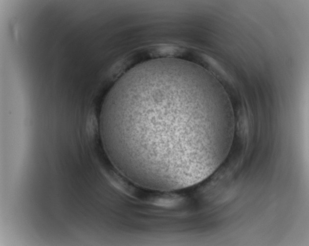 X0000115600459200911171131