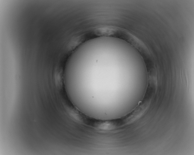 X0000115600460200911171131