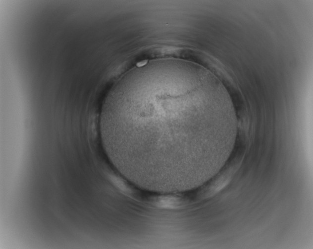 X0000115600462200911171131