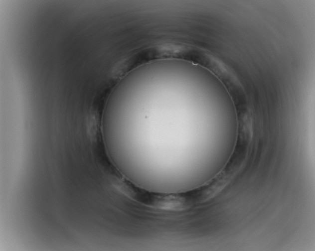 X0000115600463200911171131