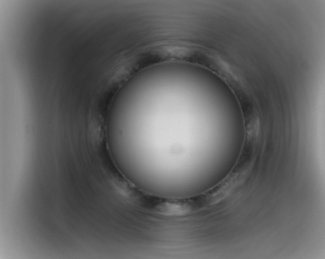 X0000115600464200911171131